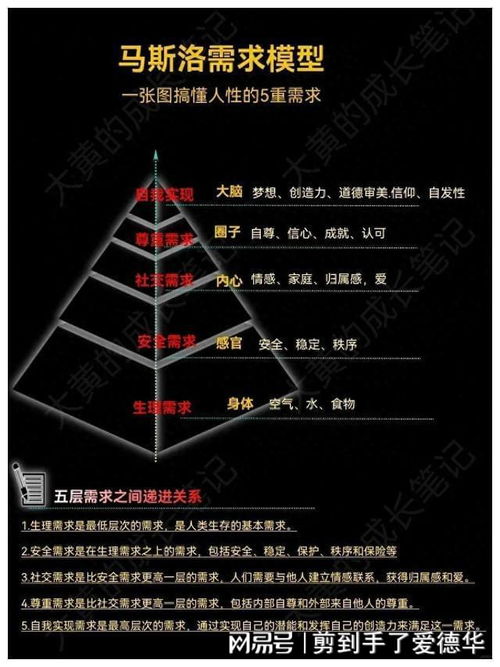 (派生定密的解密)探索世界之谜:从原始秘密到派生定密的进化轨迹 (派生定密的解密)探索世界之谜:从原始秘密到派生定密的进化轨迹