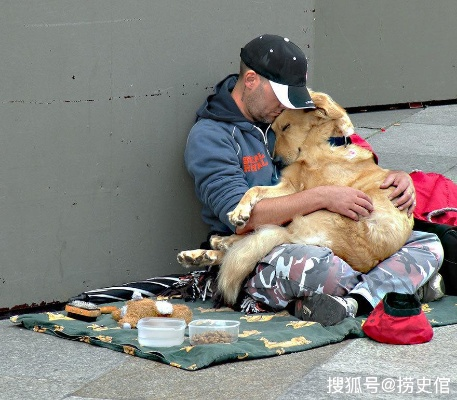 流浪守护者：用爱的力量传递温暖，守护无家可归者的希望与未来