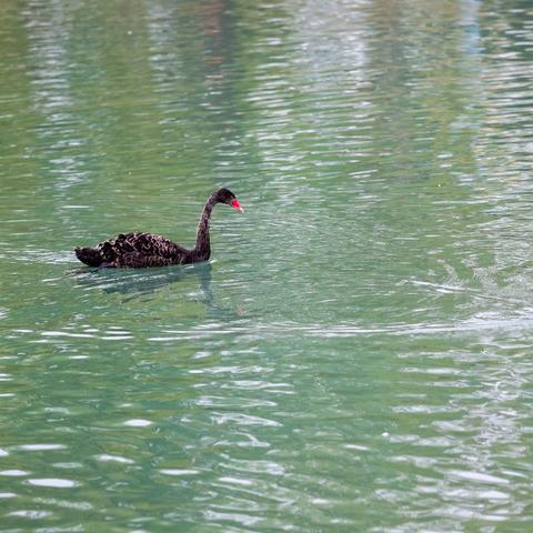 边缘逐梦手游攻略：助你在游戏中快速提升角色实力，畅游梦幻世界的终极指南