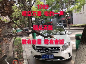 (免费车牌号码吉凶测试)免费车牌号吉凶查询官网，详尽解读车牌号码的命运！