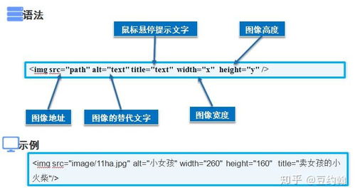 (电脑入门第一章: 从零开始学电脑视频教程)如何通过观看入门电脑基础视频教程快速掌握必备知识？