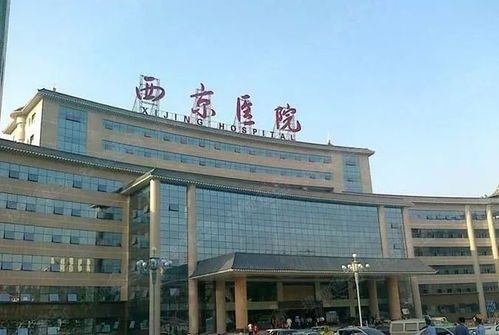 (钟真的画收藏价值)探索钟真的历史渊源与文化影响：一位杰出人物的传奇故事