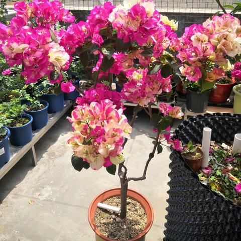 (电脑技术学什么能干个副业)电脑技术学什么好？探索最适合你的电脑技术课程和学习方向