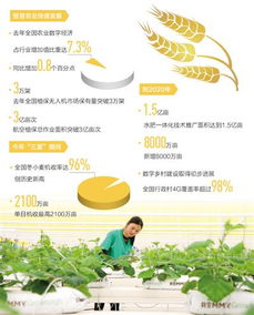 探索超级全能大农民的生活：如何在现代农业中实现智慧与实用的完美结合