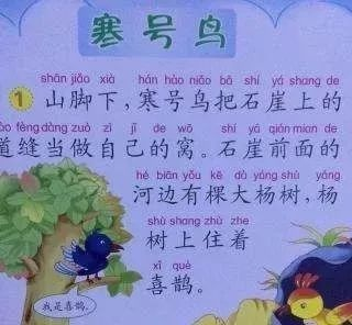 (我是寒号鸟写话)我是一只寒号鸟歌曲:独秀姿态,宛如寒号鸟在冰天雪地中翱翔 (我是寒号鸟写话)我是一只寒号鸟歌曲:独秀姿态,宛如寒号鸟在冰天雪地中翱翔