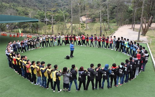 当然可以，以下是一个拓展后的