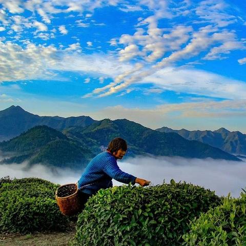 探讨古老与现代交织的魅力:详解文明岔口游戏玩法与背后的历史知识融合 探讨古老与现代交织的魅力:详解文明岔口游戏玩法与背后的历史知识融合