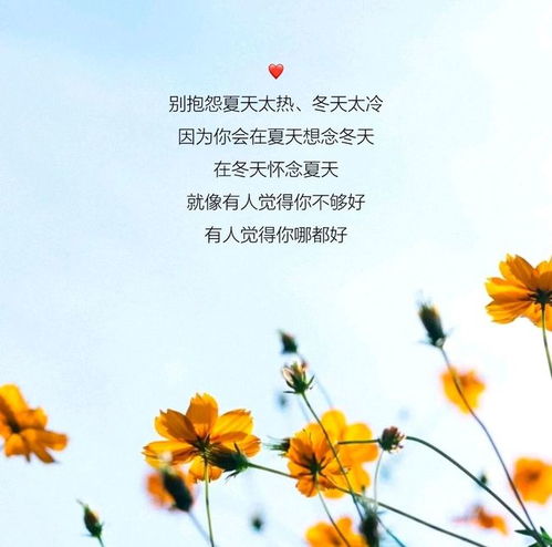 (早安少女组20)早安少女黄金十人:精彩绽放的晨曦,10位闪耀女神引领新一天 (早安少女组20)早安少女黄金十人:精彩绽放的晨曦,10位闪耀女神引领新一天