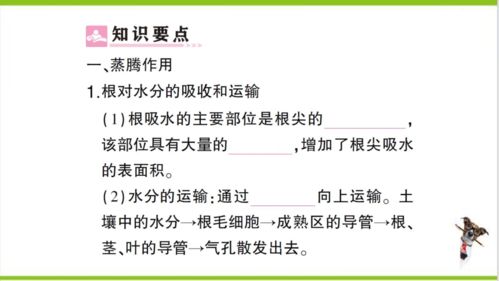 (乌合之众最好的翻译版本)乌合之众海蜇翻译效果如何？不尽人意或让人惊艳？