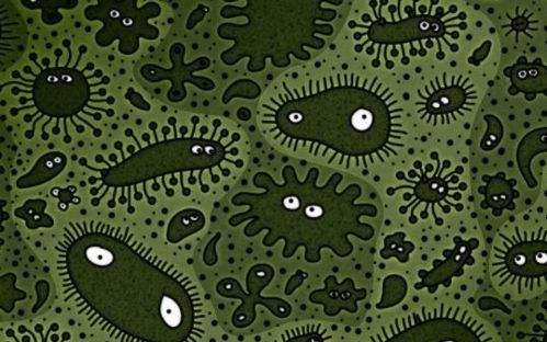 (怎样让物体变色)如何让物体变黑？学会用黑色涂料将物品呈现出独特魅力