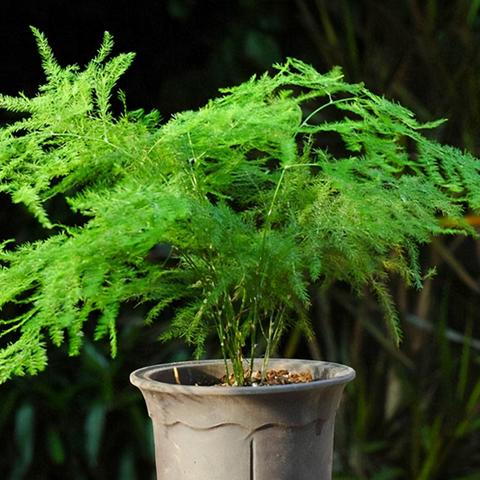 深入解析亦春秋配置要求的最佳实践与策略,助力提升项目整体效果 深入解析亦春秋配置要求的最佳实践与策略,助力提升项目整体效果