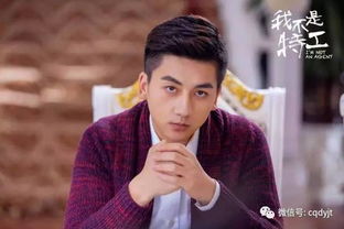 (杜少康是谁)康少霆和杜怀璧，我不是特工，他们也不是。