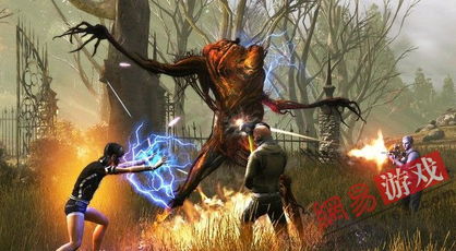 探索无主王座官网:揭秘神秘世界的秘密传说和无尽奇迹 探索无主王座官网:揭秘神秘世界的秘密传说和无尽奇迹