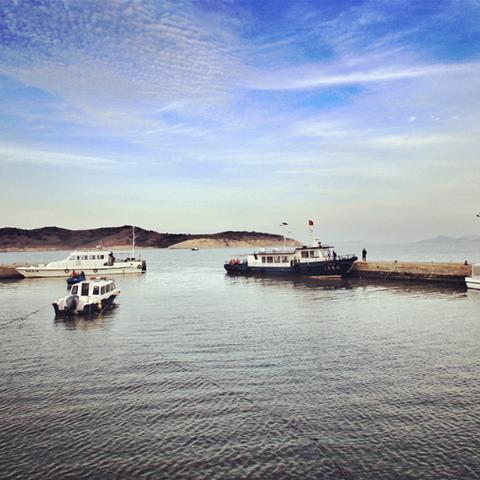 游戏攻略大揭秘：如何有效利用我的小海岛无限钞票版无限钻石版快速升级建设理想家园