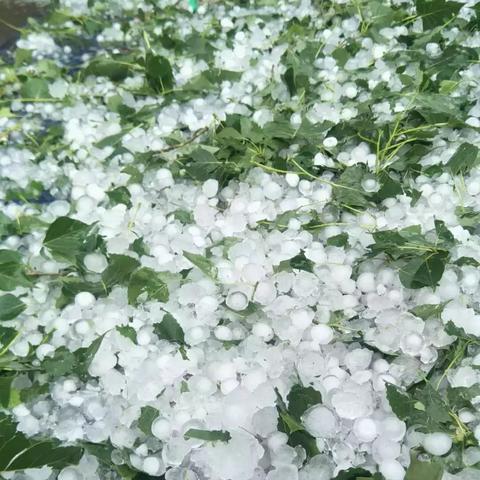 (砸烂车玻璃属什么行为)探讨砸烂汽车玻璃应负何种责任:犯罪行为还是小事一桩? (砸烂车玻璃属什么行为)探讨砸烂汽车玻璃应负何种责任:犯罪行为还是小事一桩?