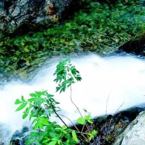 (逍遥自在的畅游影视世界)畅游逍遥梦路，尽享笔趣阁里的精彩世界