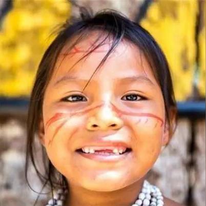 (王者荣耀 猎人)探讨王者猎人最强阵容，如何打造最强团队来征服战场