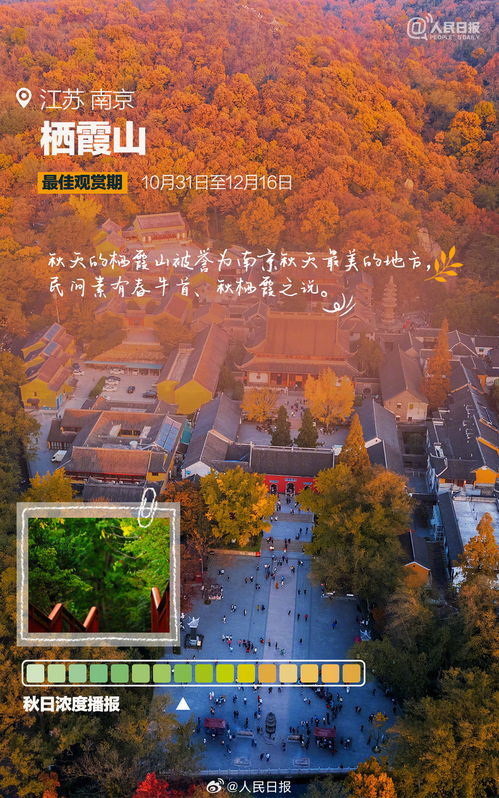 (卓越jam buddy)探秘卓越大陆攻略：揭秘绝美景点、特色美食和畅游须知