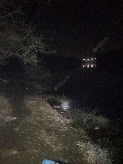 (凌晨一点算不算晚上)凌晨一点算第二天吗?不朽家族的传承和延续 (凌晨一点算不算晚上)凌晨一点算第二天吗?不朽家族的传承和延续