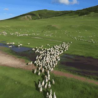 中国星空联盟成员航空公司名单：广东省航空公司、四川航空公司、中国国际航空公司、深圳航空公司等。