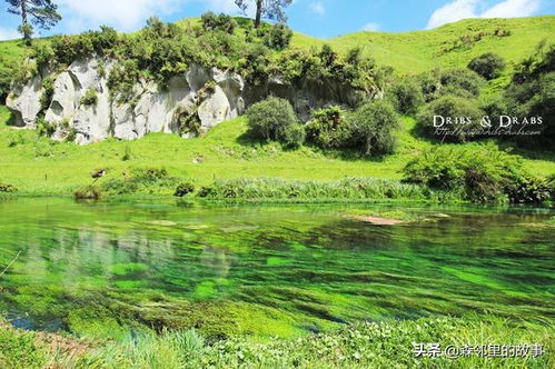 体验自然、探索科普知识:浓缩绿梦生态园全景图带您走进生态保护的休闲乐园 体验自然、探索科普知识:浓缩绿梦生态园全景图带您走进生态保护的休闲乐园