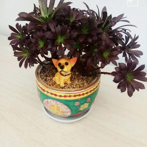 小小法师无限钻石无限金币指南:全面剖析如何高效赚取钻石和金币攻略揭秘 小小法师无限钻石无限金币指南:全面剖析如何高效赚取钻石和金币攻略揭秘