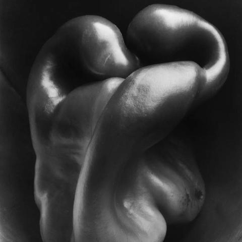 (天才艺术家模拟器中文版)挑战无限创意！探索天才艺术家模拟器手机的神奇世界