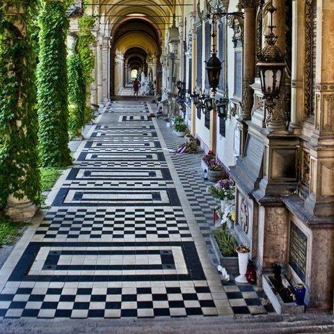 (帝国审查所 v1.3.2)帝国入境审查所安卓手机应用程序的功能和使用指南