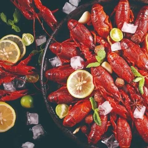 (开拓类手游)开拓手游网：探索多元化手机游戏世界，尽享无限乐趣与激情